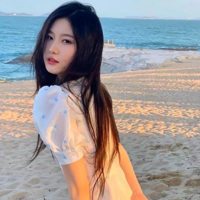 盗贼泰瑞莎